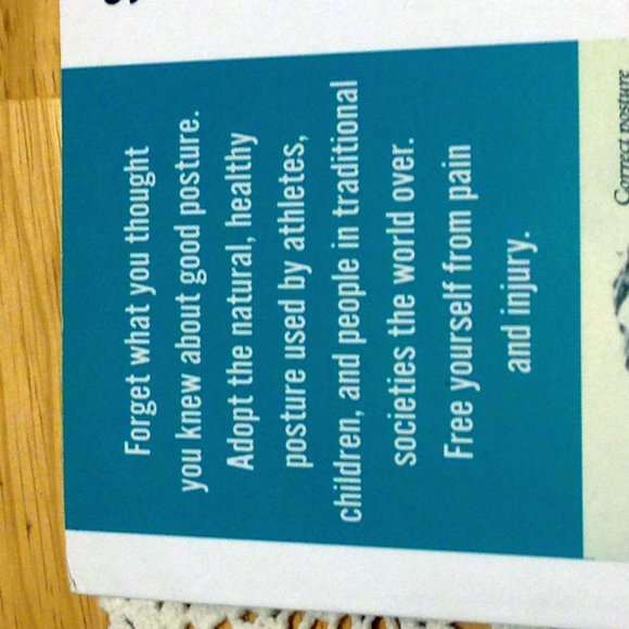 Health and Wellness, 8 Steps to a Pain Free Back - Picture 5 of 8